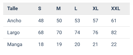 Conjunto dryfitt City Torque - RB.Creaciones